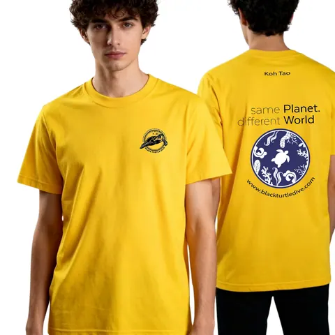 เสื้อลายเกาะเต๋า/ลูกโลก แบบที่ 8